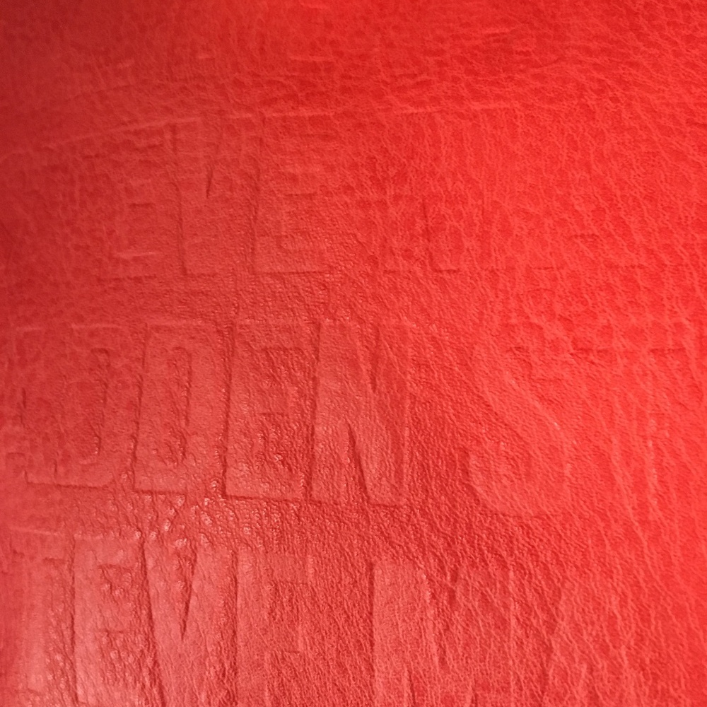 Steve Madden BGLAM Coral Crossbody Purse Bag - Picture 3 of 8